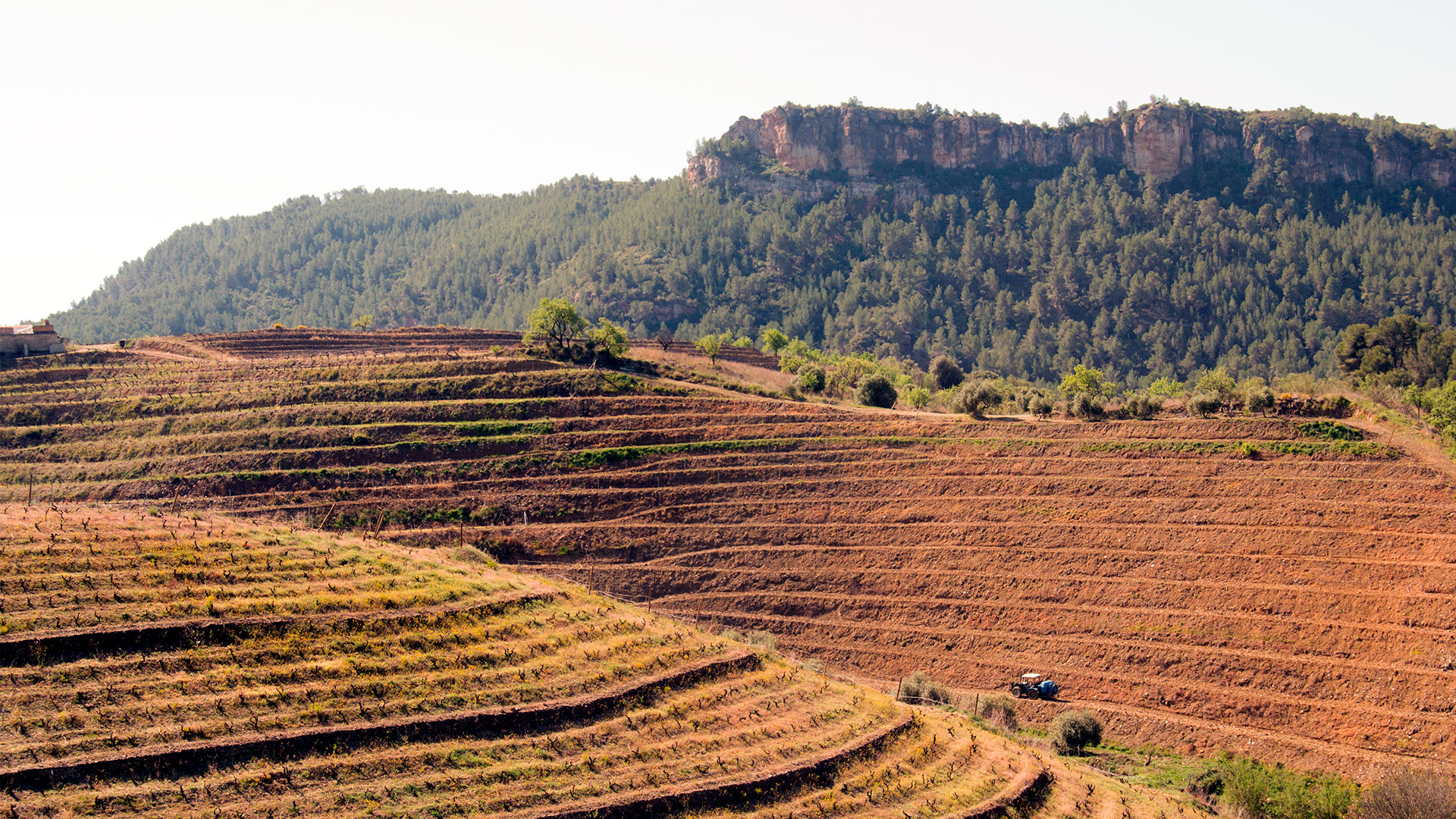 La región del Priorat image